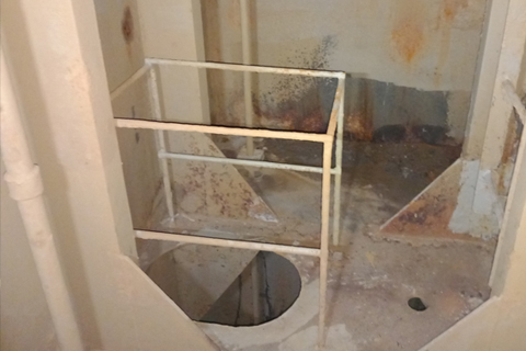 pic1